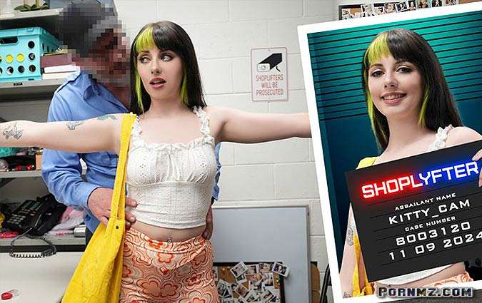 [Shoplyfter] Kitty Cam – Case No 8003120 The Artist In Distress