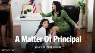 Transfixed – Lulu Chu Ariel Demure – A Matter Of Principal